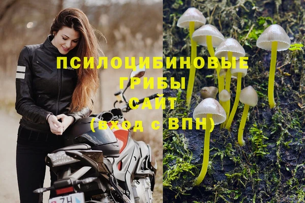 тгк Аркадак